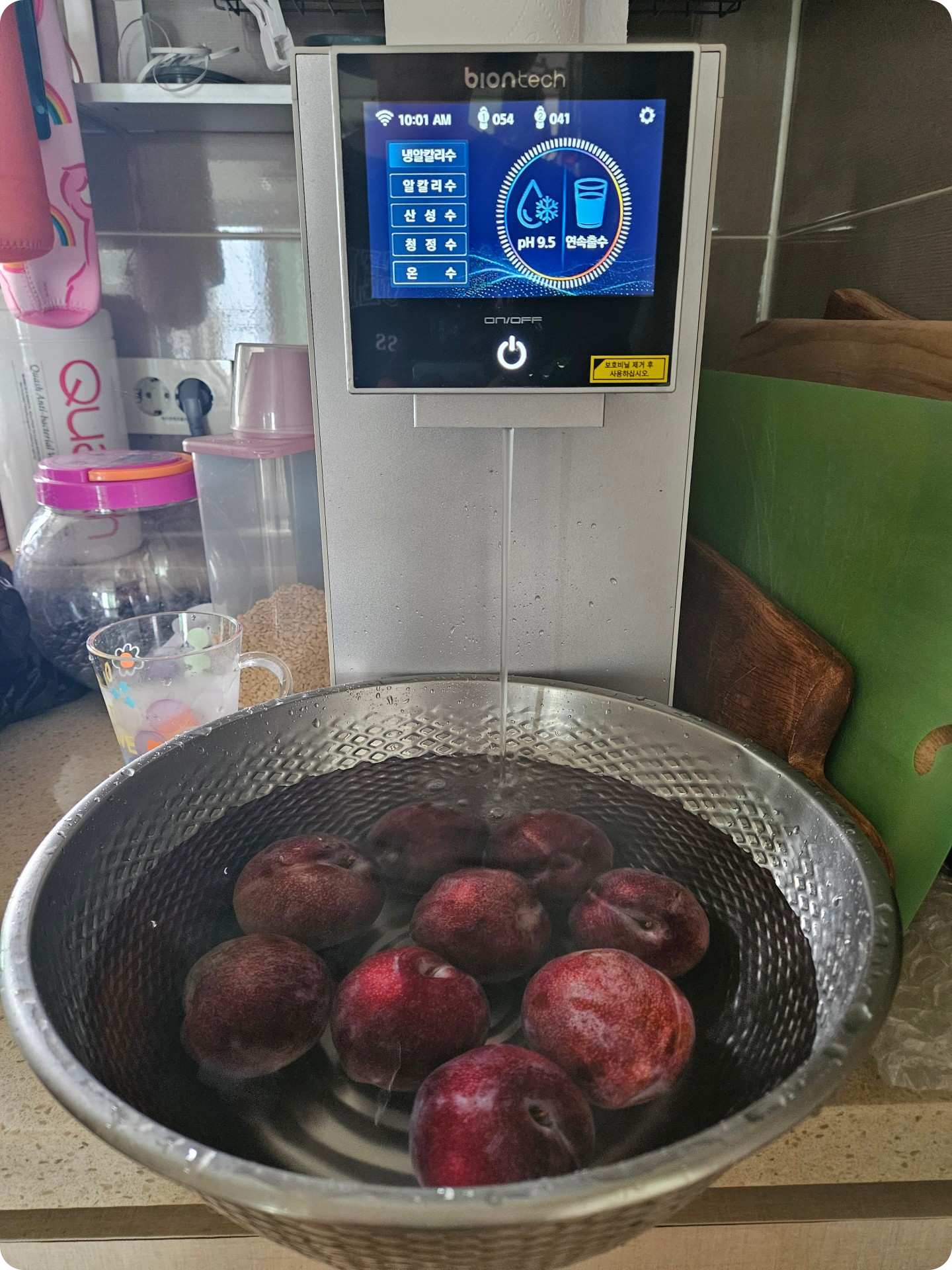 냉온정수기 바이온텍 알칼리이온수기로 결정한 이유